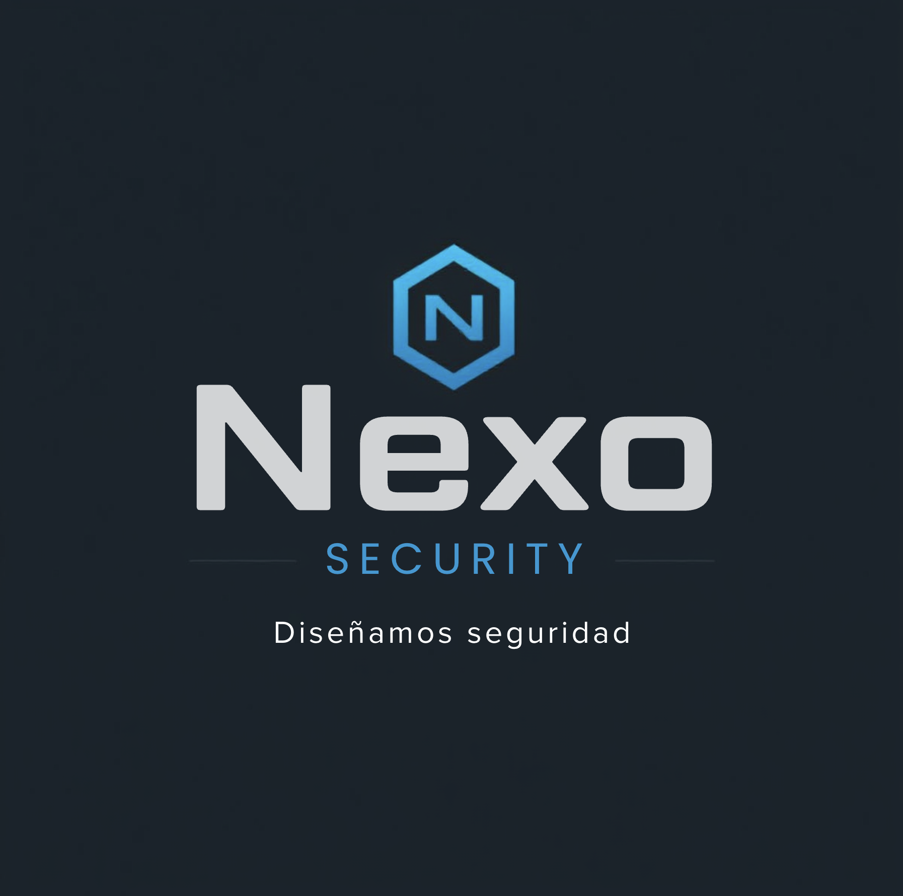 Logo Nexo Security
